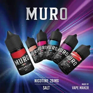 Muro Saltnic